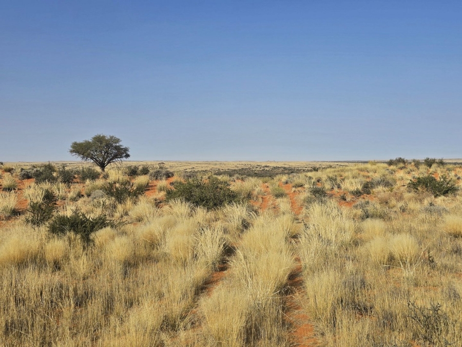 Commercial Property for Sale in Kenhardt Northern Cape